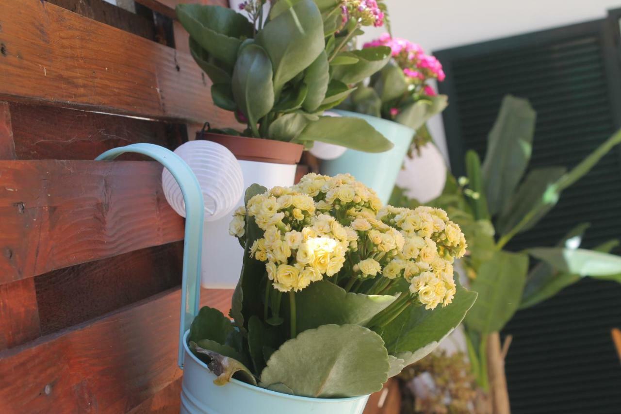 Casa Das Camelias อาเวโร ภายนอก รูปภาพ